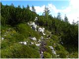 Planina Loka - Kup (na Raduhi)